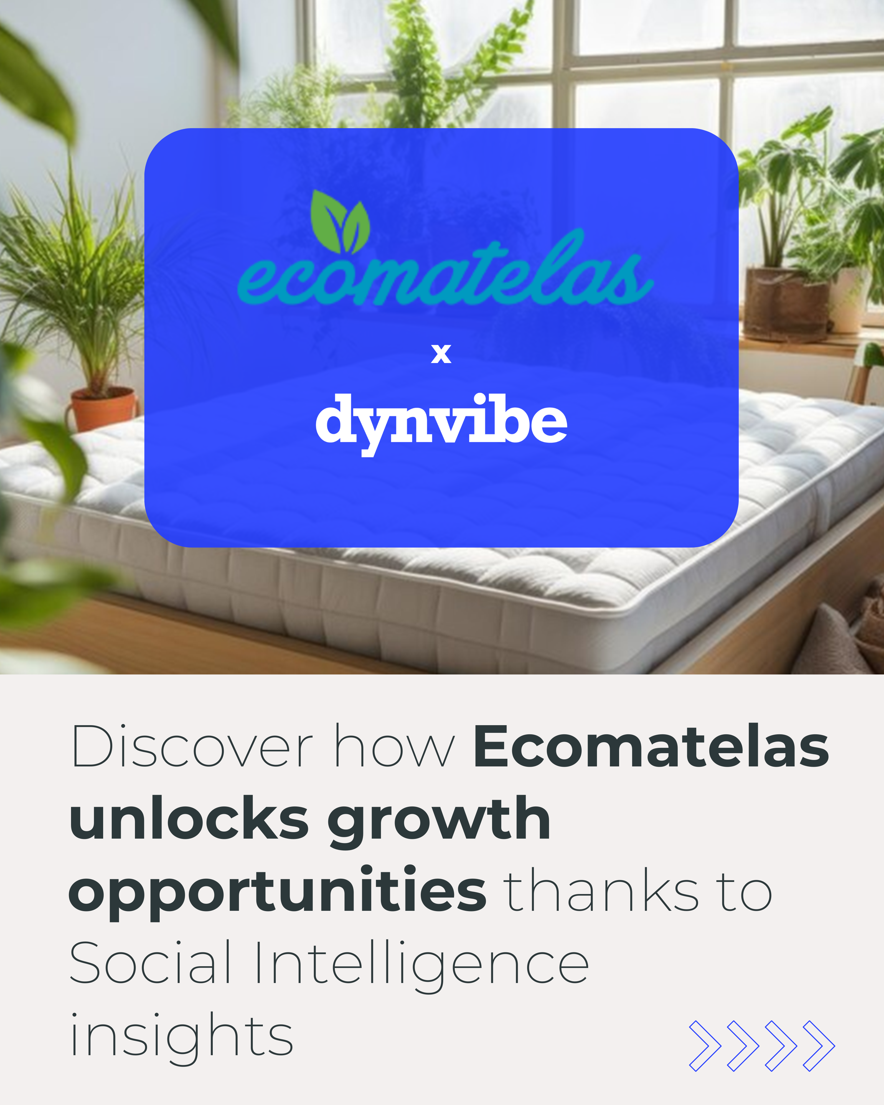 Ecomatelas